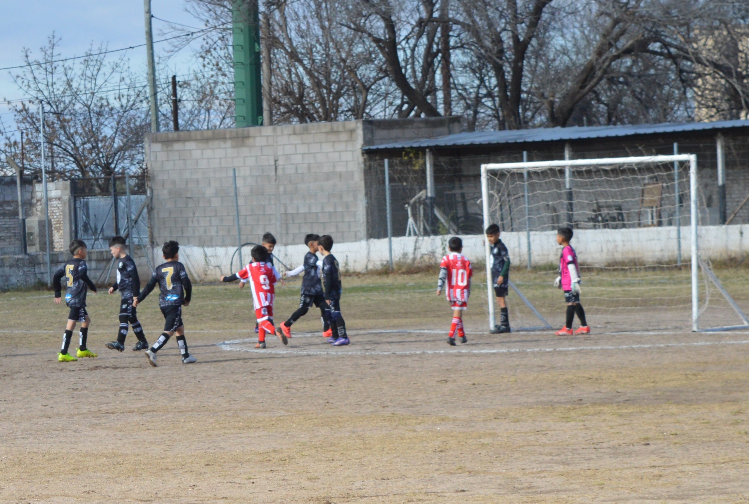 Imagen 3